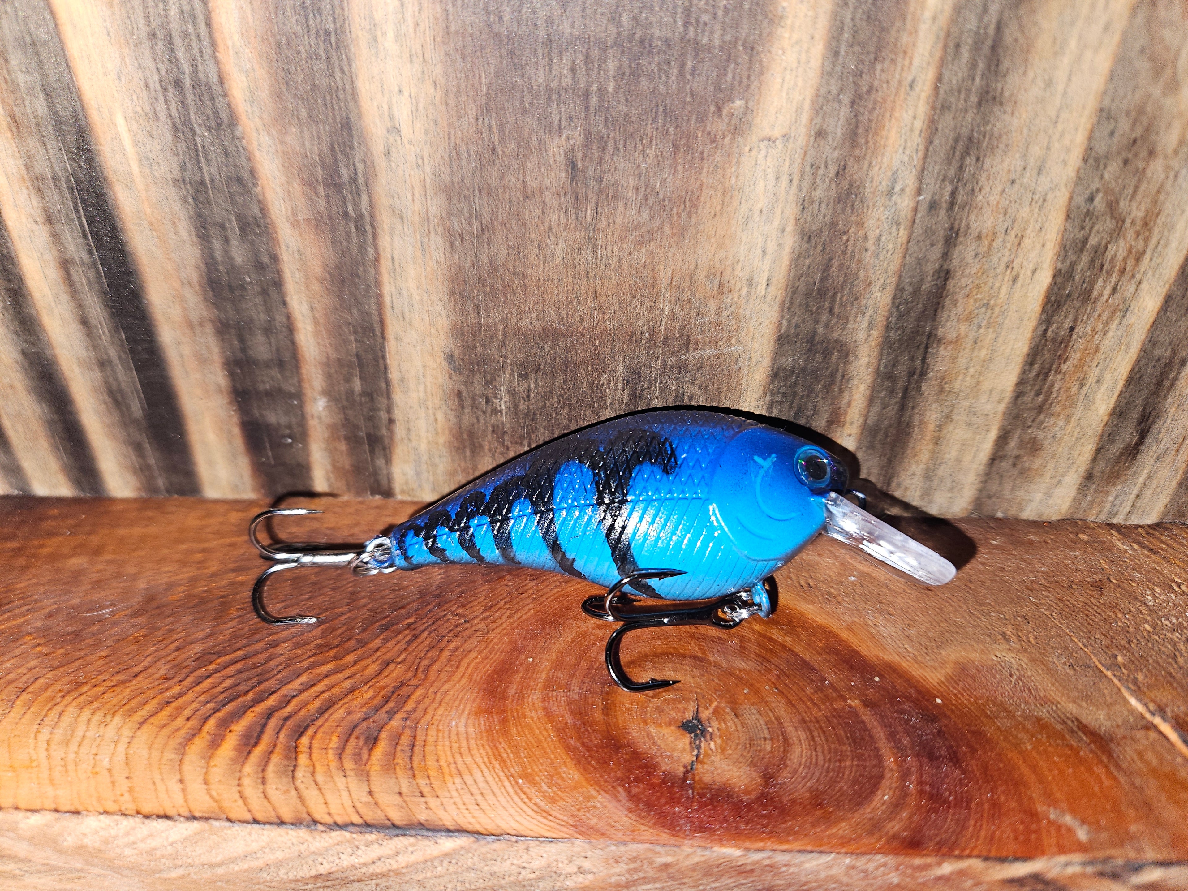 Midnight Craw