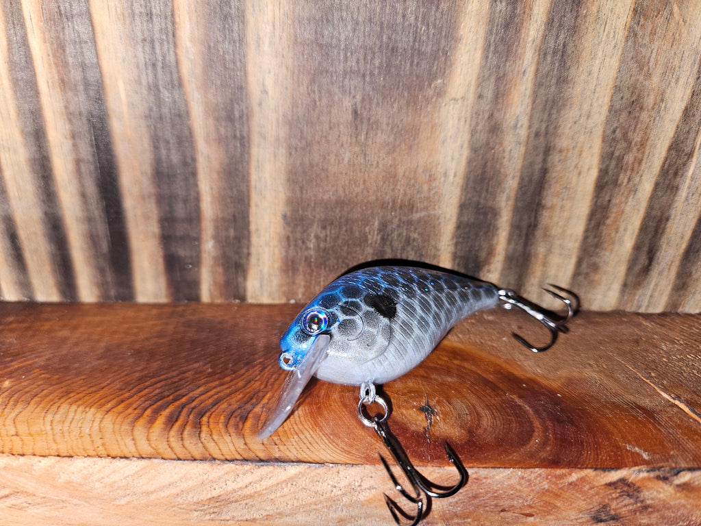 Blueback Flash