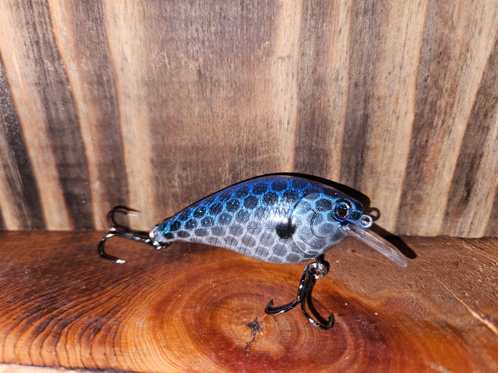 Blueback Flash