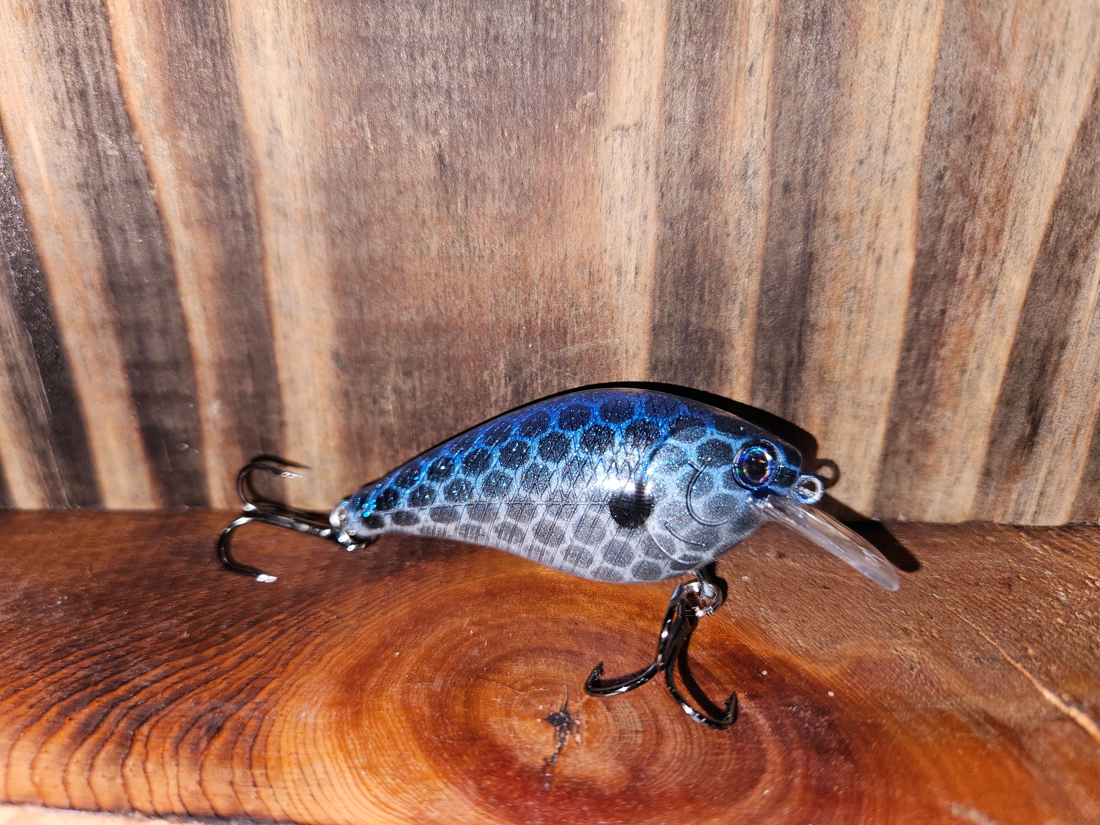 Blueback Flash