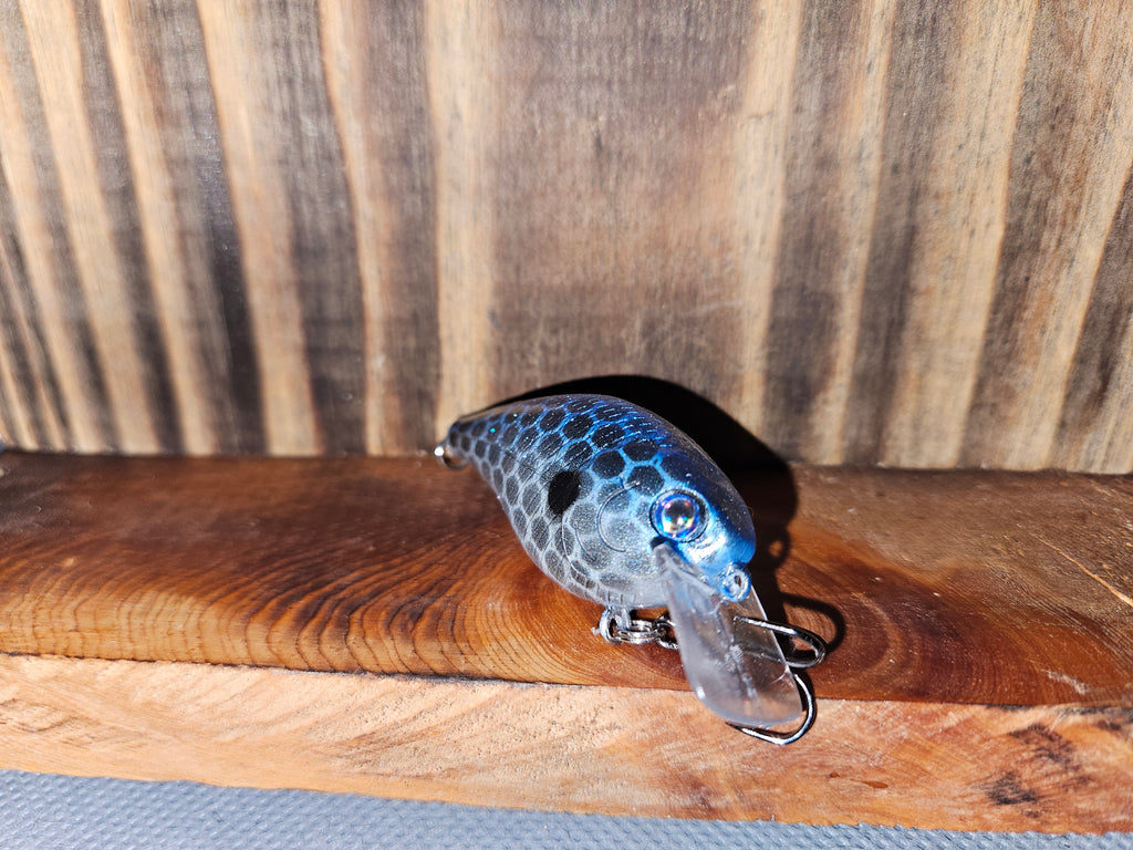 Blueback Flash