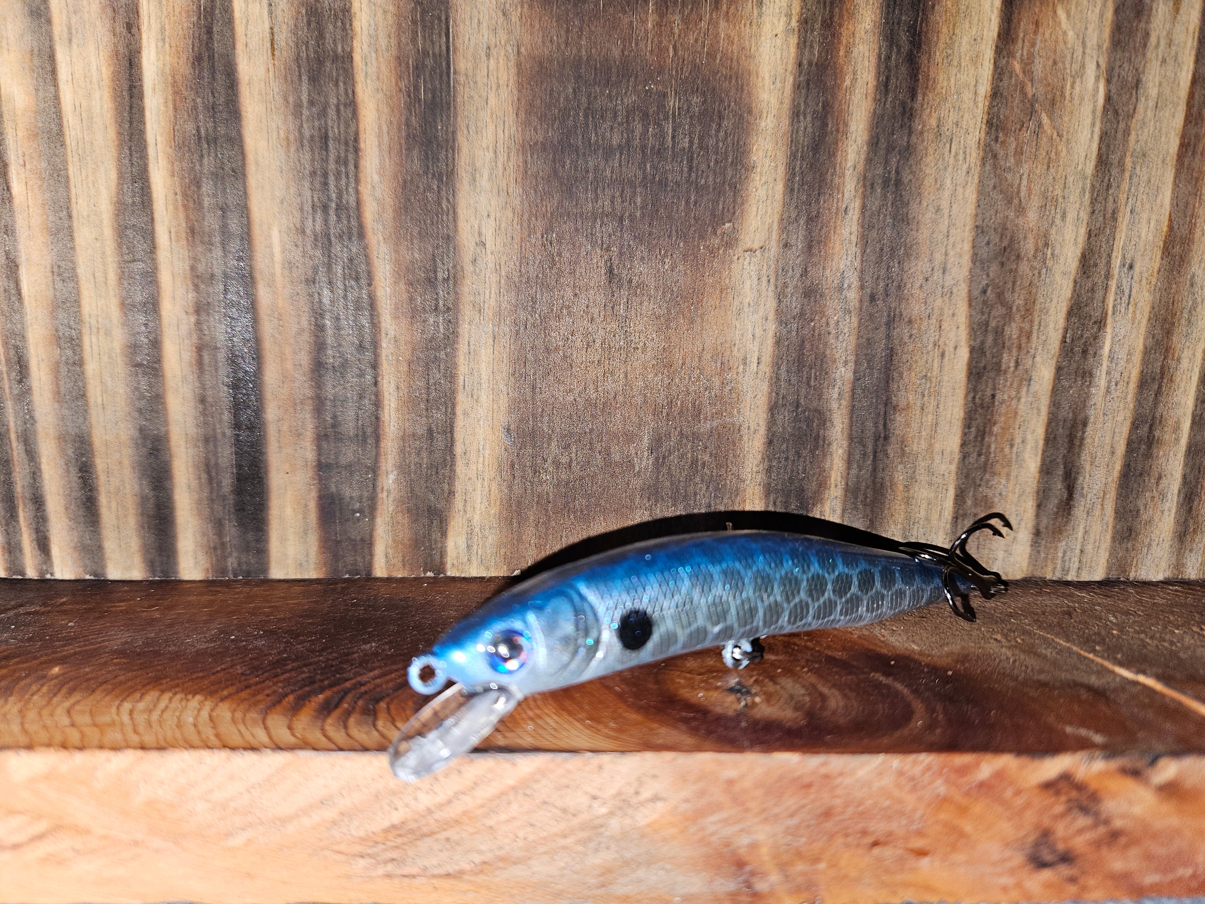 Blue Dart