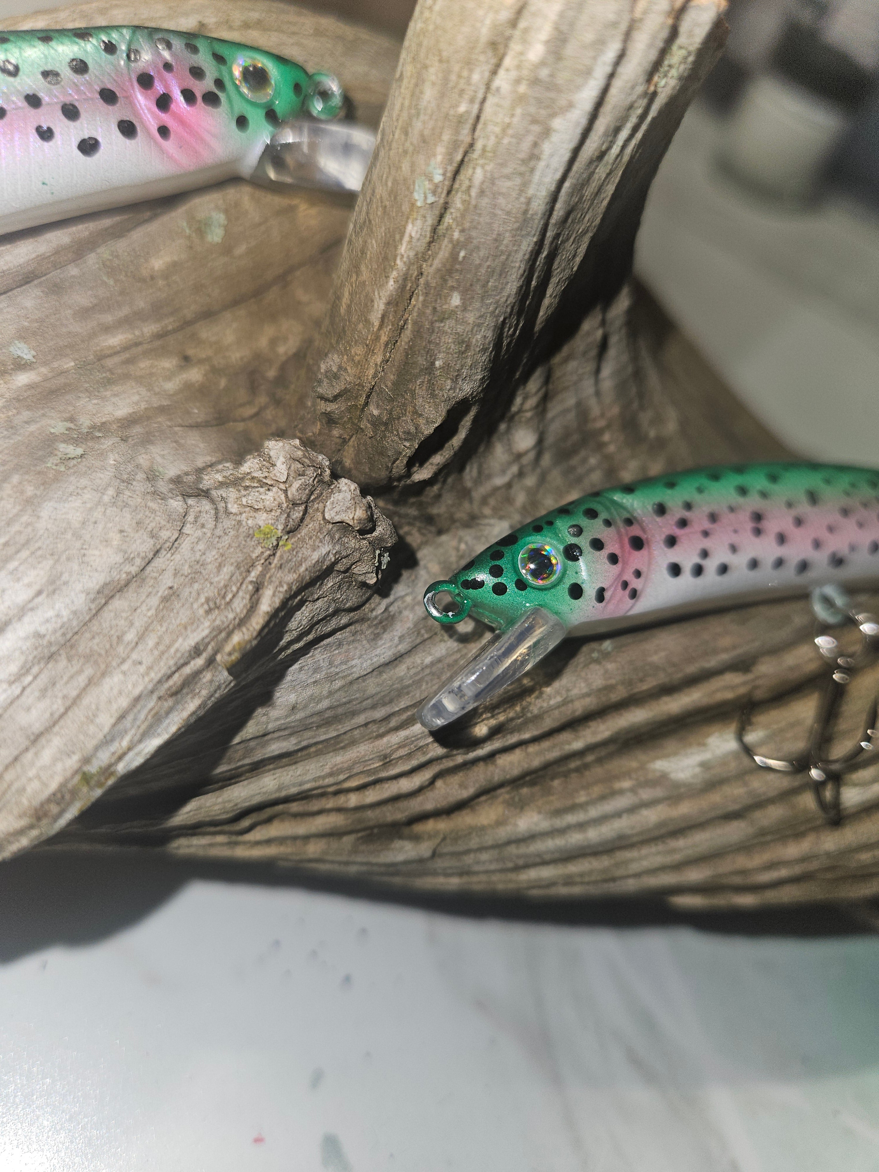 Ripple Trout